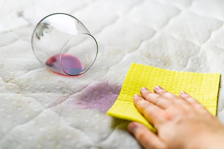 BiOHY Spezial Polsterreiniger (6x1l Flasche) | Ideal Für Autositze, Sofas, Matratzen Etc. | Ebenfalls Für Waschsauger Geeignet – Bild 7